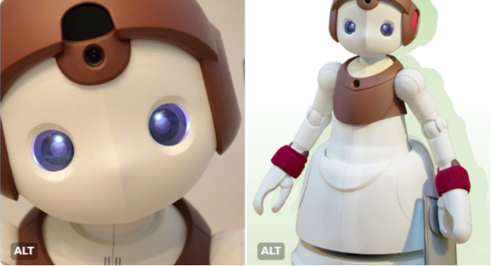 孤独时代的解药？索尼造了个机器人“花酱”(图1)